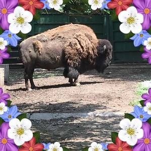 Meet your Posher, Sherry